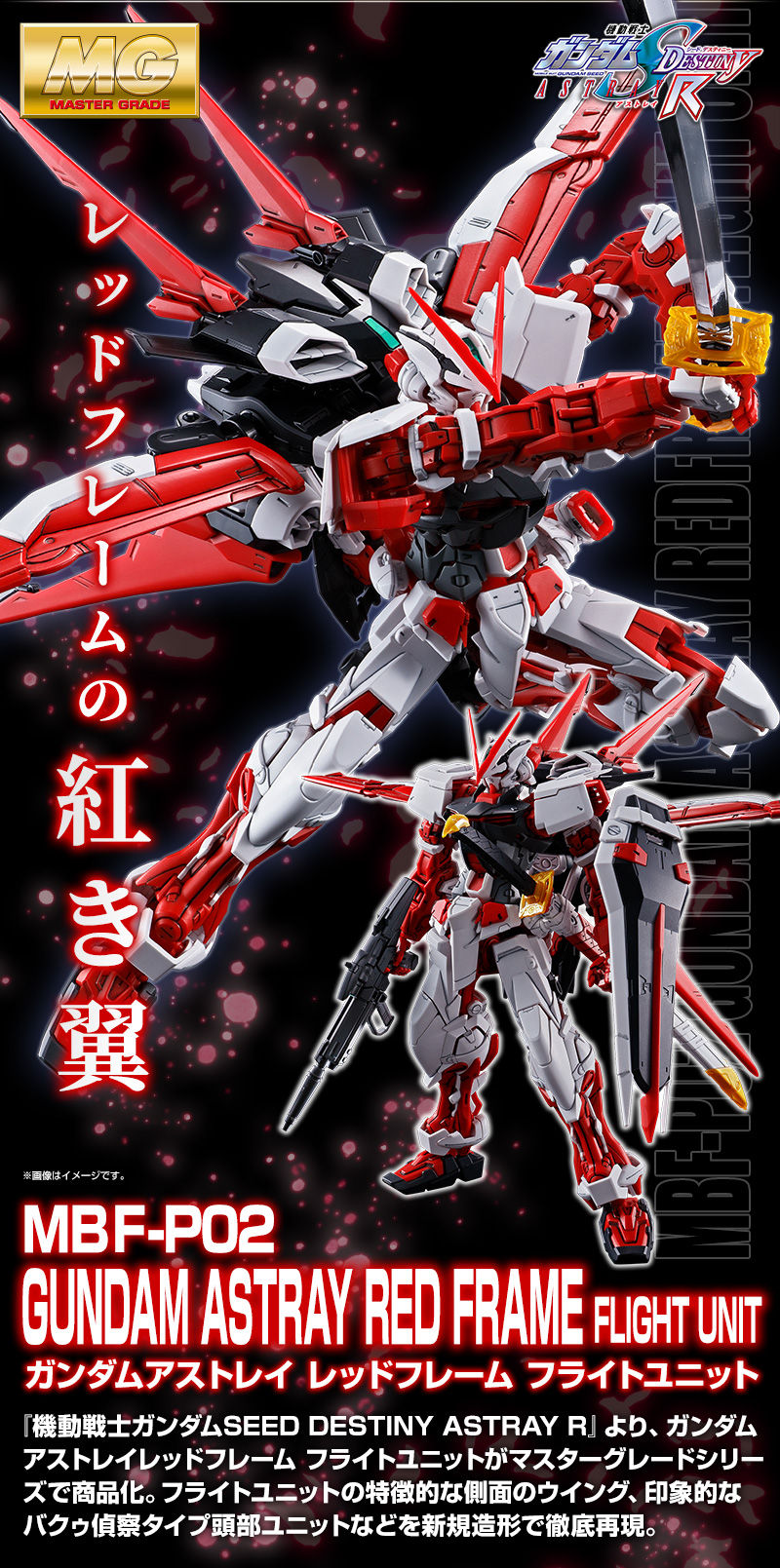 限定数のみ！ MG アストレイセット - プラモデル